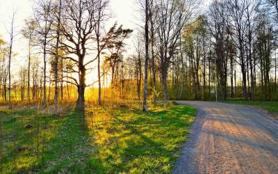 Échappée au grand air !