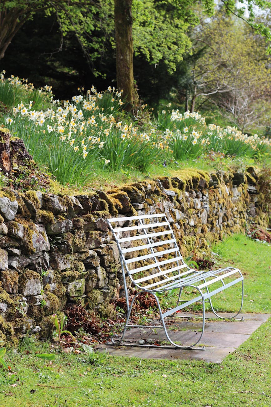 serene garden bench along stone wall in spring