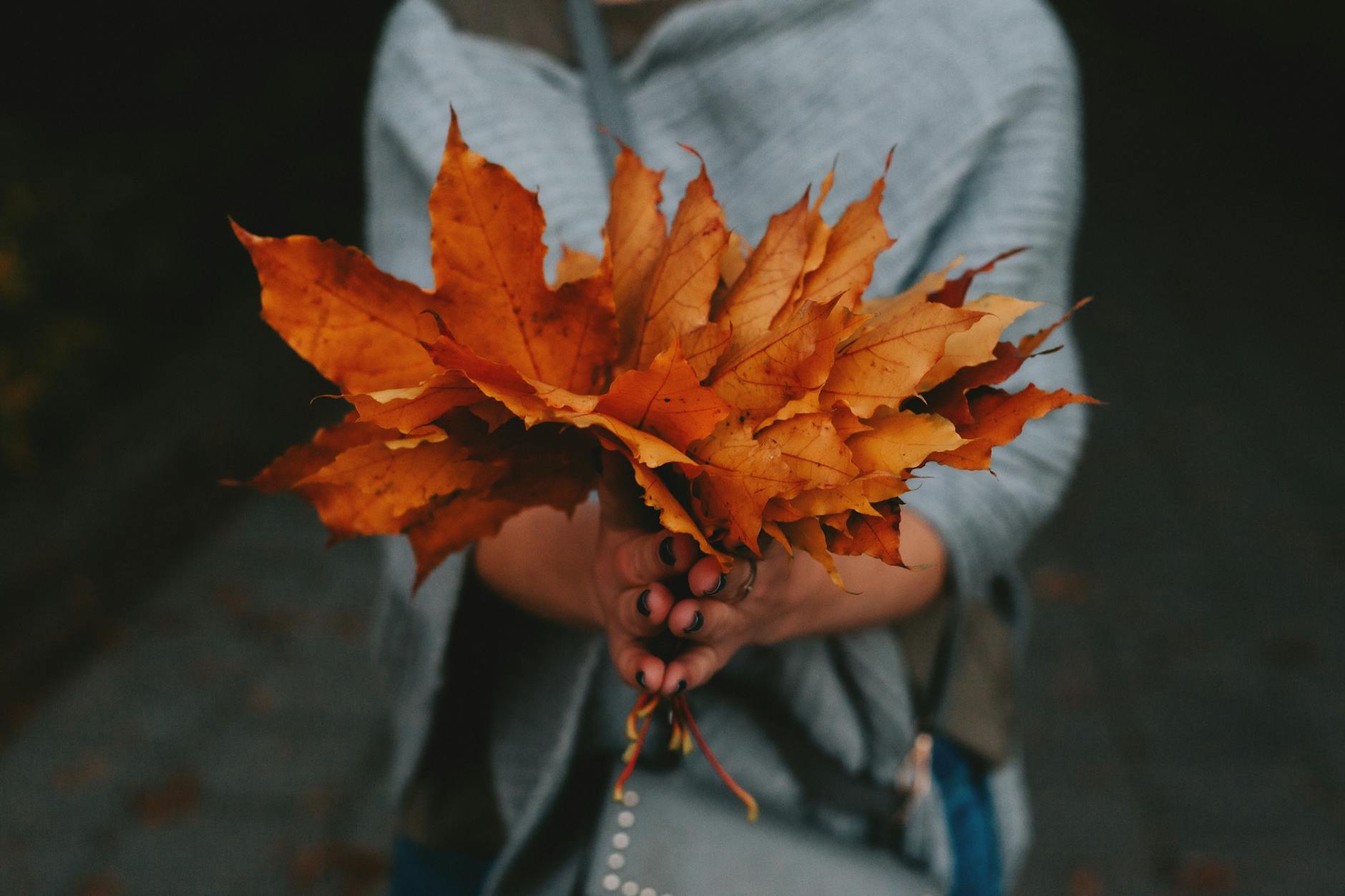 a person holding dry leaves