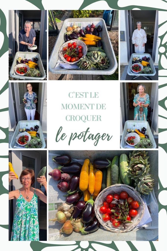 POTAGER 1
